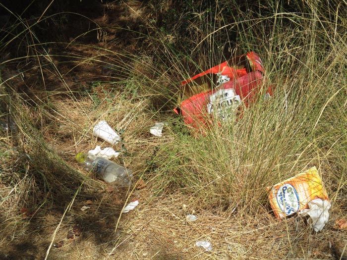 Μεσημβρία σκουπίδια