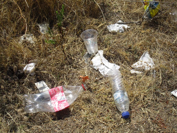 Μεσημβρία σκουπίδια