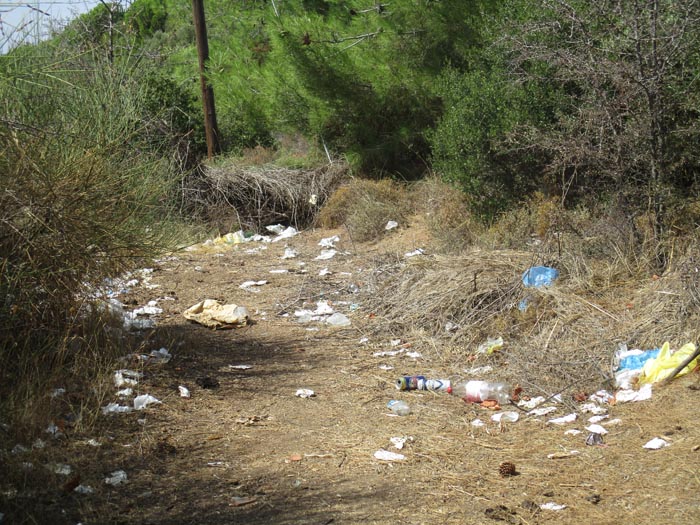 Μεσημβρία σκουπίδια