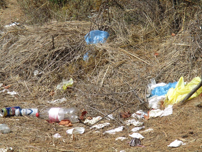 Μεσημβρία σκουπίδια