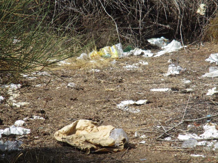 Μεσημβρία σκουπίδια